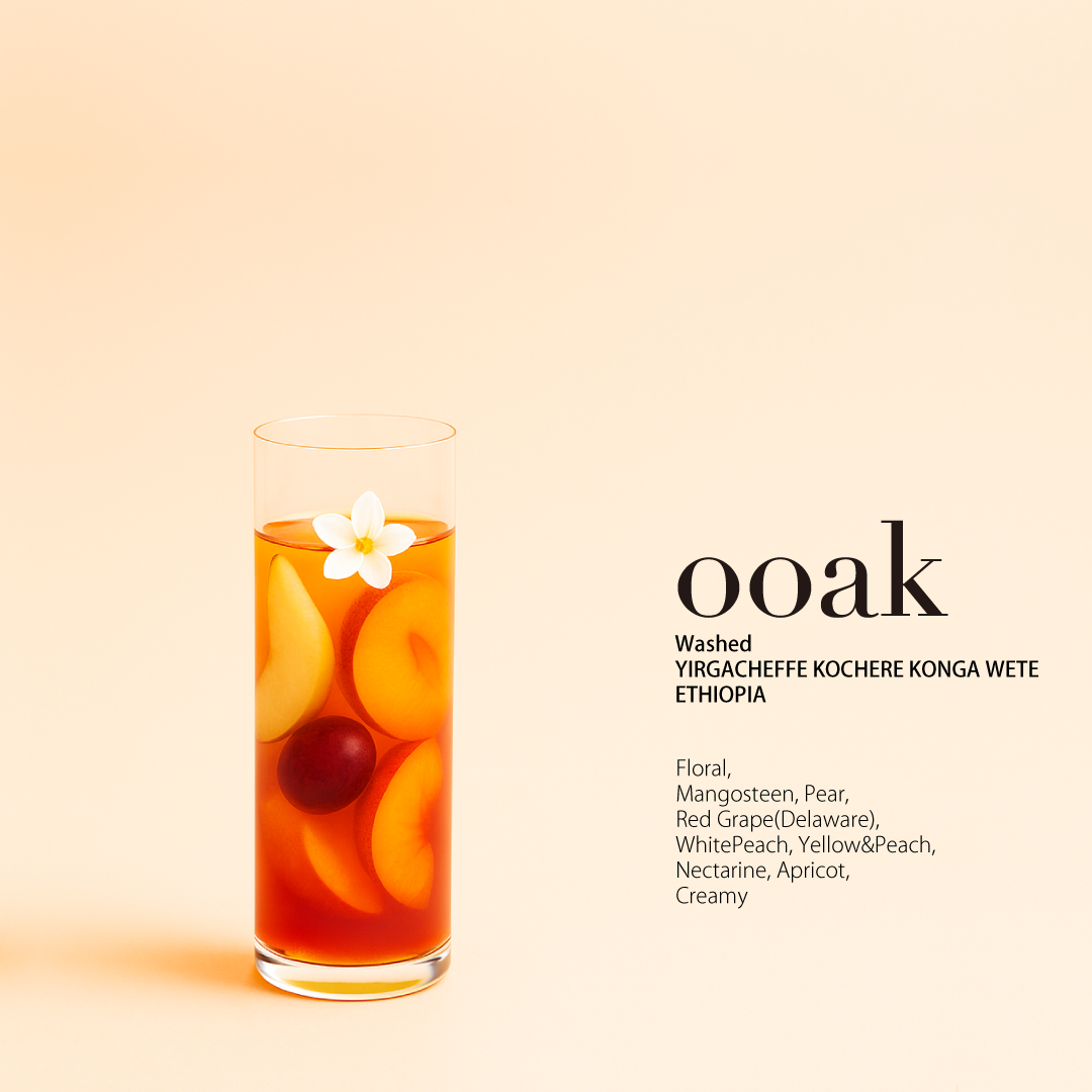 【数量限定発売】<ooak×Project Origin>【ETHIOPIA】YIRGACHEFFE KOCHERE KONGA WETE Washed
